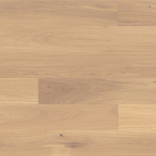 EICHE BANANA SONG GRANDE