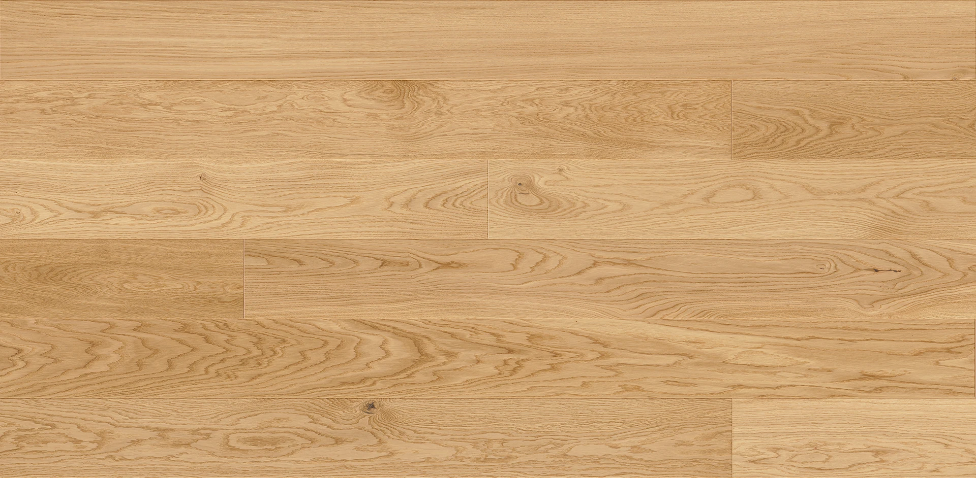 EICHE ASKANIA GRANDE