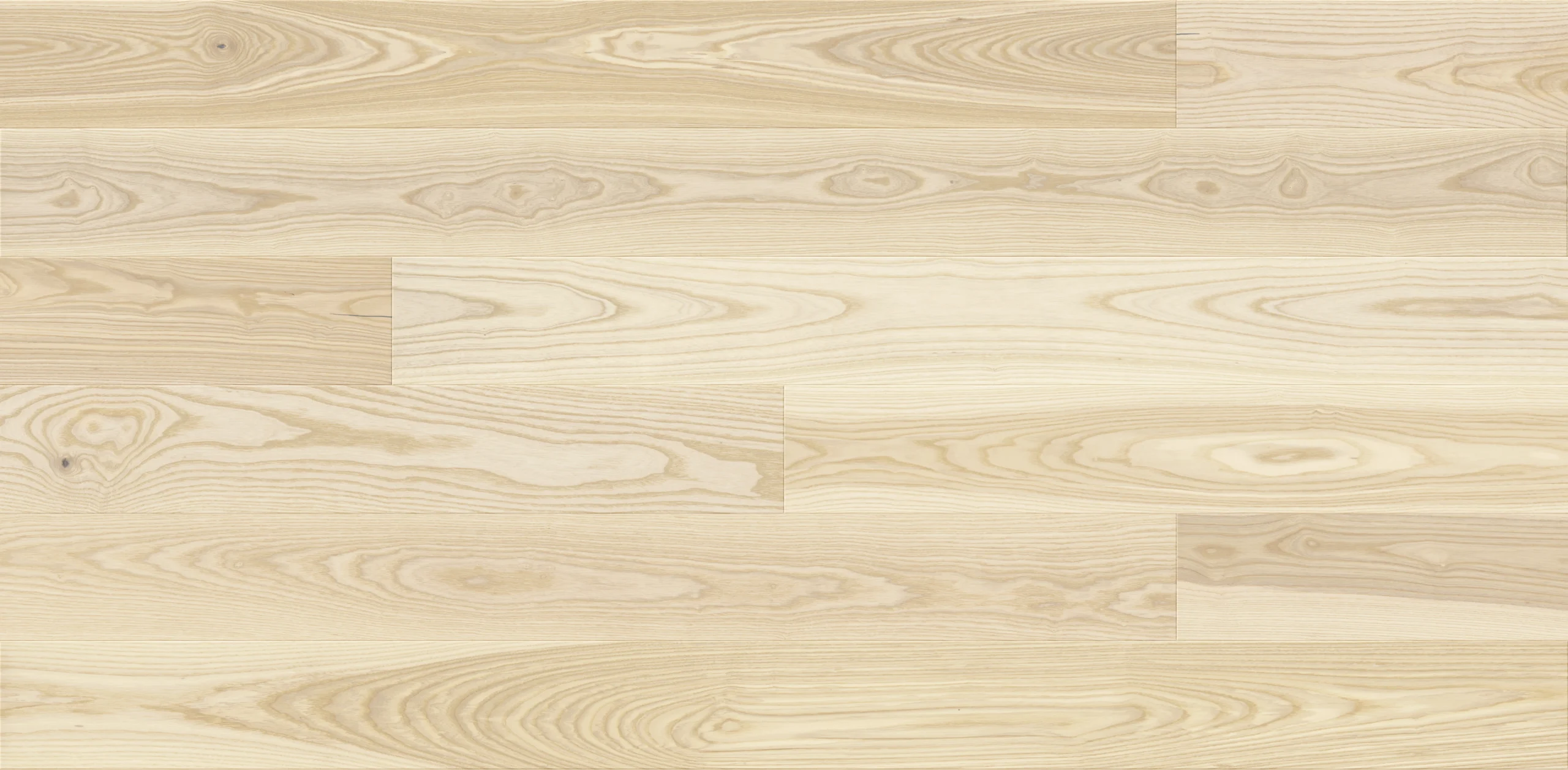 Esche Milkshake Grande