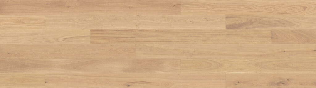 Eiche Tartufo Bianco Grande