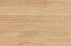 Eiche Tartufo Bianco Grande