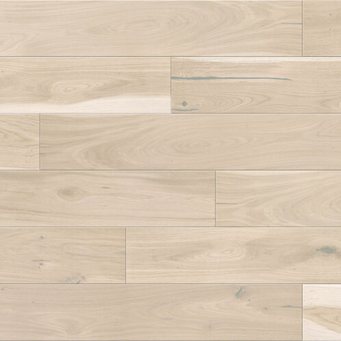 EICHE Biscuits Grande