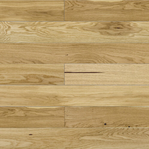 Eiche Askania Piccolo