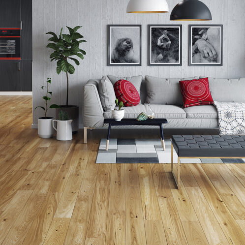 EICHE CONCHI PICCOLO