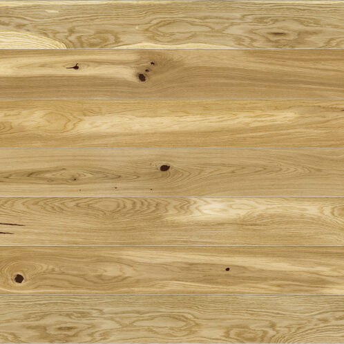 EICHE CONCHI PICCOLO