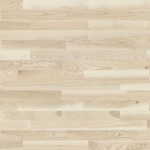 ESCHE MILKSHAKE MOLTI