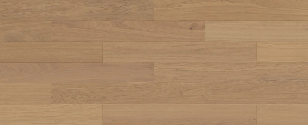 Eiche Harmon Esthetic